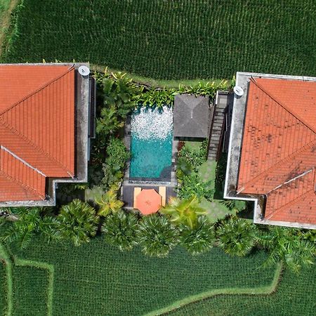 Cenik Villa Ubud المظهر الخارجي الصورة