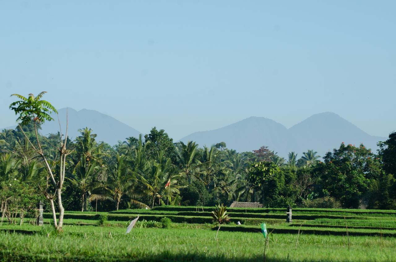 Cenik Villa Ubud المظهر الخارجي الصورة