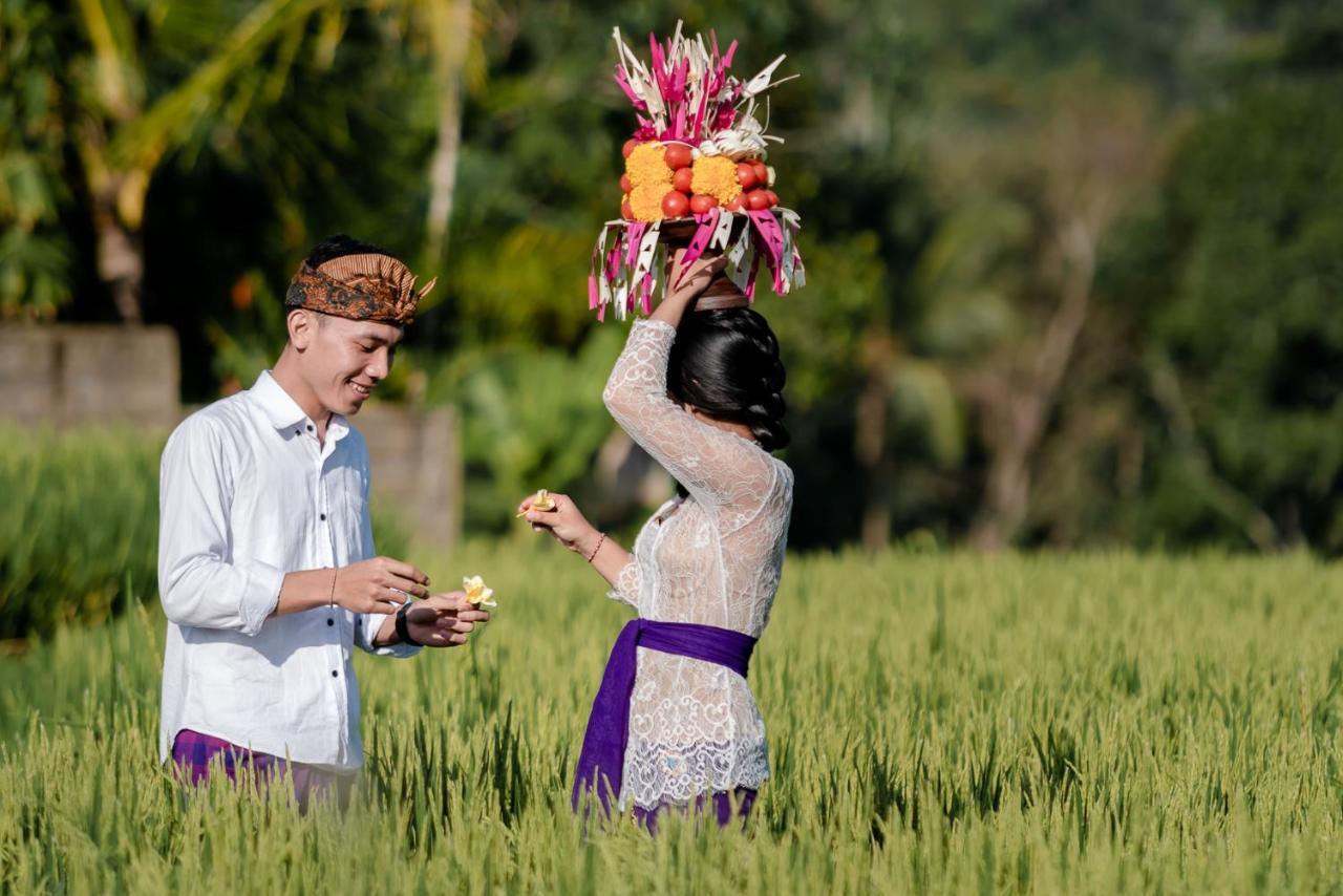 Cenik Villa Ubud المظهر الخارجي الصورة