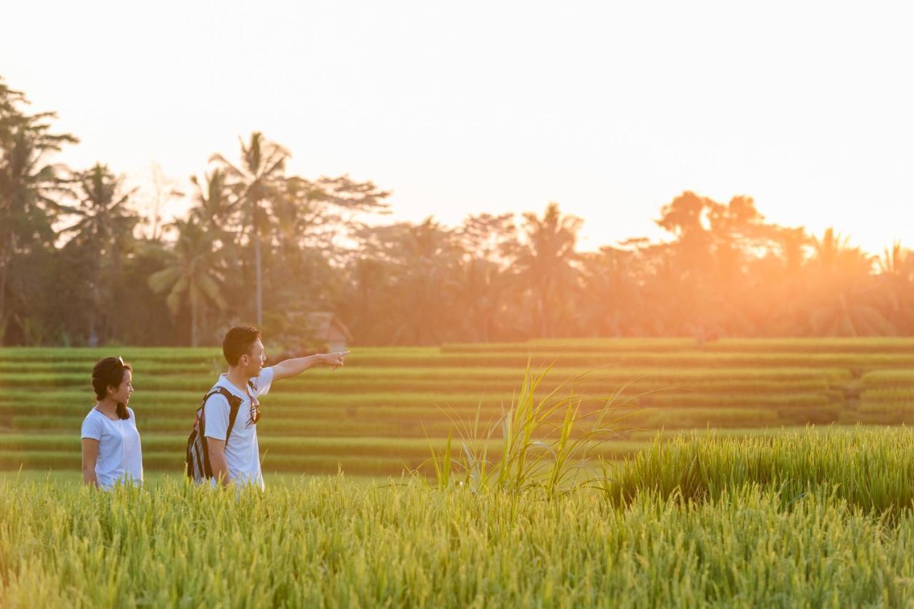 Cenik Villa Ubud المظهر الخارجي الصورة