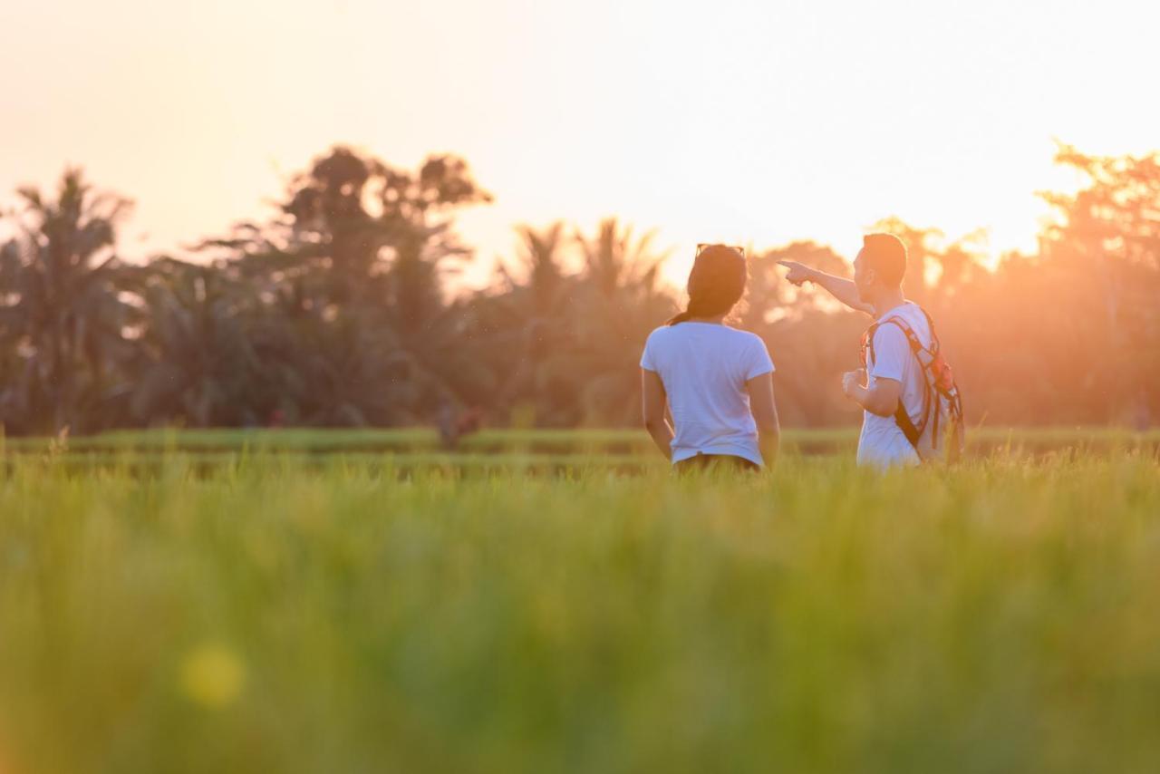 Cenik Villa Ubud المظهر الخارجي الصورة