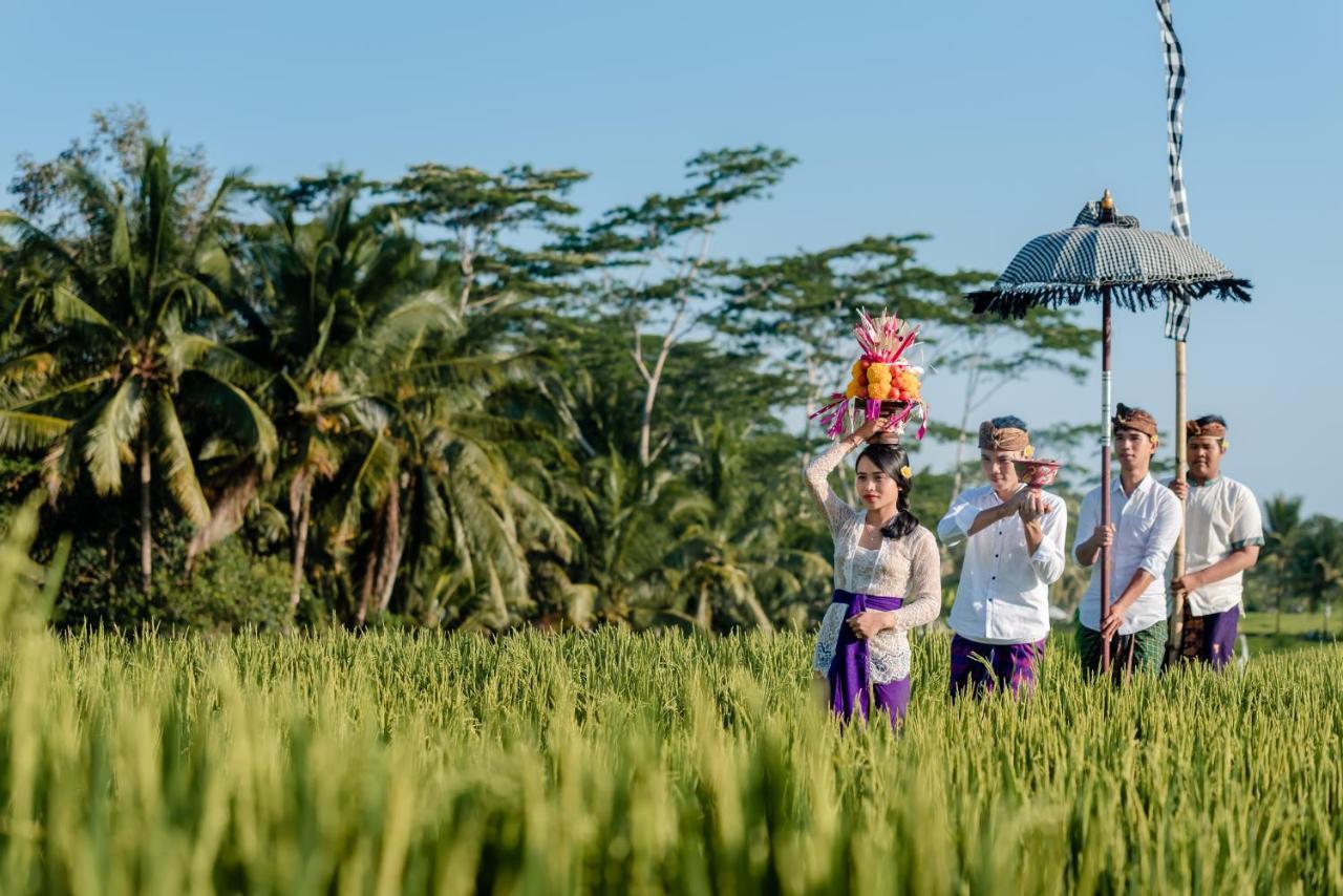 Cenik Villa Ubud المظهر الخارجي الصورة