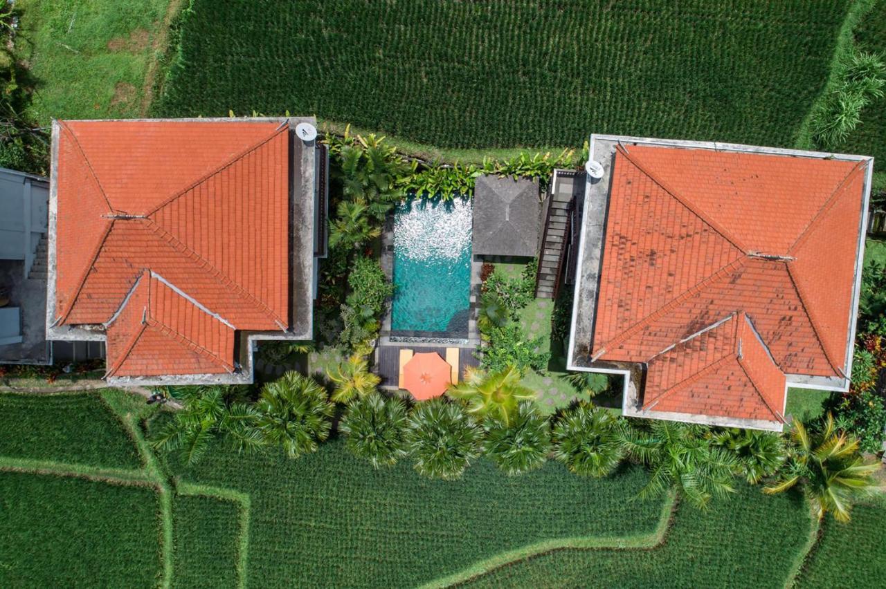 Cenik Villa Ubud المظهر الخارجي الصورة